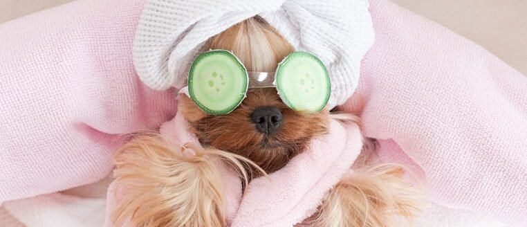 img-postgrid3 img-postgrid3