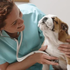 Rectangle 34626755-min